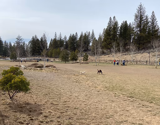 Overturf Park Off Leash Area